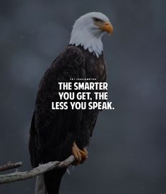 an eagle sitting on top of a tree branch with a quote about the smarter you get the less you speak