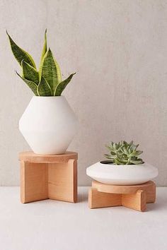 two white vases with plants in them sitting on wooden stands next to each other