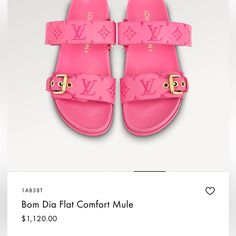 Gently Used Lv Sandals Lv Sandals, Shoes Louis Vuitton, Mule Sandals, Louis Vuitton Shoes, Mule, Women's Shoes Sandals, Shoes Sandals, Louis Vuitton, Size 6