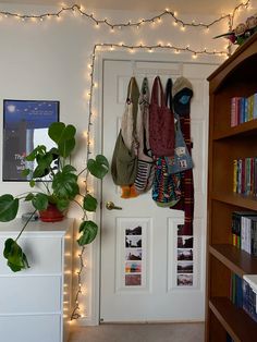 a room with bookshelves, plants and lights on the wall next to it