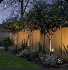 a fence with some lights on it in the middle of a grassy area next to trees