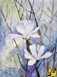 two white flowers on a tree branch with watercolors in the back ground and blue sky behind them