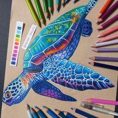 a drawing of a turtle with colored pencils around it