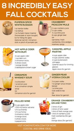 an info sheet describing the different types of drinks and how to use them for cocktails