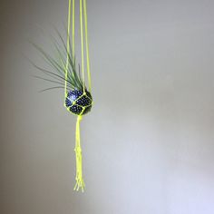 a blue and white polka dot ball hanging from a yellow string with grass in it