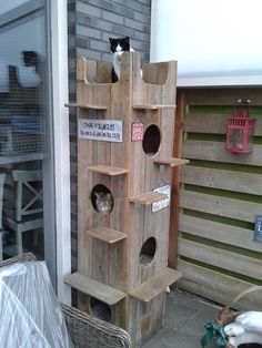 two cats sitting on top of a wooden cat tree in front of a building with windows