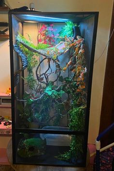 Is this the kind of chameleon setup you're searching for? See this article for some amazing cage ideas. Pet Ferret, Tortoise Turtle