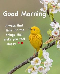 a yellow bird sitting on top of a tree branch with white flowers in the background