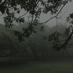 an empty park bench in the middle of a foggy field with trees on either side