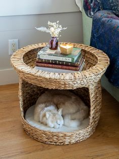 Cat Bed Basket Table-view1 Cute Cat Products, Cat Assesories, Diy Cat Bed, Basket Table, Room Deco, Cat Room, Cat Decor, Cute Room Decor, Decor Minimalist