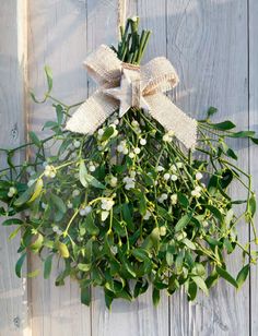 a bunch of greenery hanging on a wooden wall with a bow around it's neck