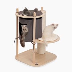 The Catit Vesper Treehouse is a modern, nature-inspired playground for adventurous cats and kittens. Dressing the wooden poles (tree branches) with a variety of toys is a great way to enrich your cat’s playtime. • Extra thick sisal scratching post • Wooden branches to which you can attach toys • Stylish fabric hideaway Cat Climbing Tree, Modern Cat Tree, Puppy Bowls, Tree Furniture, Cat Activity, Puppy Beds, Puppy Pads, Wooden Poles, Dog Ball