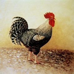 a painting of a rooster standing on the ground in front of a light colored background