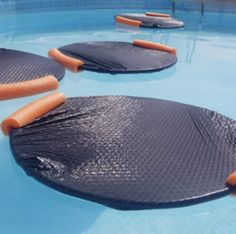 hotdogs are placed in the middle of a swimming pool