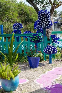 blue and white polka dot umbrellas are on display in the garden