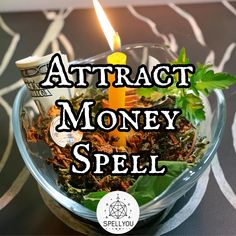 a candle that is sitting in a bowl filled with plants and money text reads attract money spell