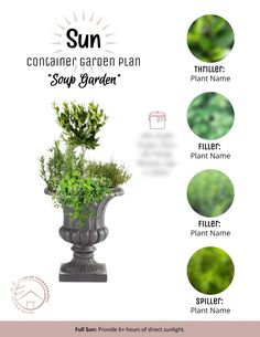 the sun container garden plan for soap garden