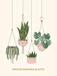 indoor hanging plants in pots with the words indoor hanging plants above them on a beige background