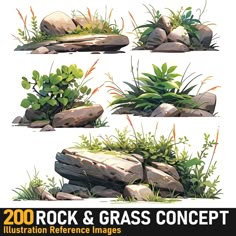 ArtStation - Rocks & Grass |4K Reference Images, Vio_Lemurian Plant Reference Drawing, Rock Illustration, Environment Props, Game Animation, Props Art, Landscape Elements, Digital Texture, Animation Illustration, Forest Illustration