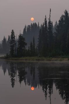 the sun is setting over a lake with trees in the background and fog on the water