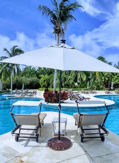 two lounge chairs under an umbrella next to a swimming pool with palm trees in the background