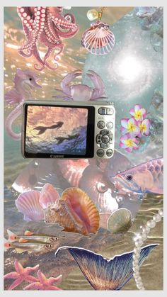 an underwater scene with shells, sea animals and other things floating in the ocean water