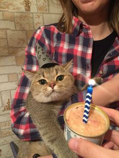 a cat wearing a party hat is being held by a woman in a plaid shirt