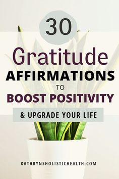 a potted plant with the words 30 gratitude affirmations to booster your