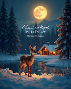 a deer standing in the snow at night with a full moon behind it and words good night sweet dreams