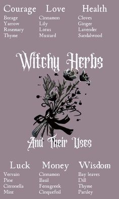 Witchy Herbs, Witchcraft Herbs, Witchcraft Spells For Beginners, Green Witchcraft, Witchcraft Books