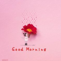 a person holding a red flower with the words good morning written below it on a pink background