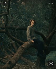 a man sitting on top of a tree branch