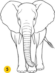 how to draw an elephant step by step