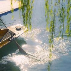 a small boat is in the water with green plants hanging from it's side