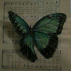 a green butterfly sitting on top of sheet music