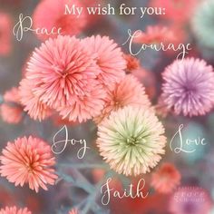 pink flowers with words written on them in front of a blue and green background that says, my wish for you peace courage joy love faith