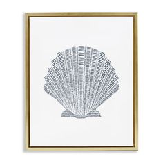 a framed print of a scallop shell