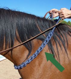 a close up of a person riding on the back of a brown horse with a green arrow