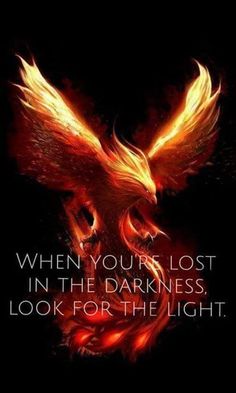 Feniks Tattoo, Phoenix Quotes, Phoenix Rebirth, Spiritual Alchemy, Rise Quotes, Soul Energy, Dragon Quotes, Phoenix Wallpaper, Phoenix Artwork