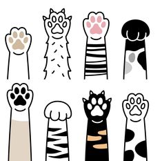 four different types of cats with their paws raised in the air and paw prints on them