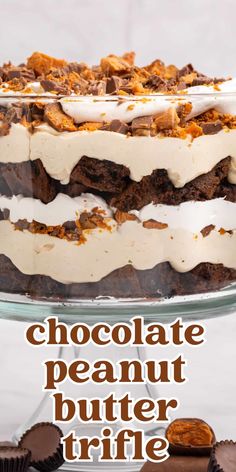 chocolate peanut butter trifle cake with white frosting