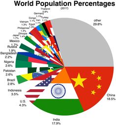 the world population percentage is shown in this pie chart, with different countries and their flags