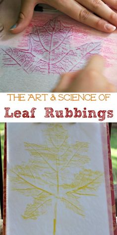 the art and science of leaf rubbings for kids to use in their artwork projects