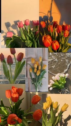 several different pictures of tulips and other flowers