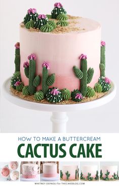 how to make a buttercream cactus cake with video instructions and step - by - step instructions