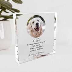 a glass plaque with a photo of a dog on it and the words do us because someone we loved is in heaven