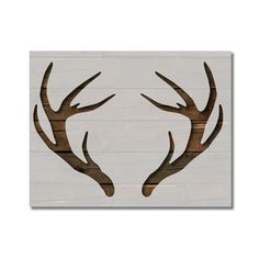 two deer antlers are mounted on the side of a white wood paneled wall