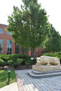 a statue of a dog laying on top of a stone slab in front of a building