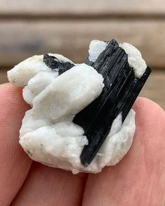 a small piece of black and white rock in someone's hand with it's fingers