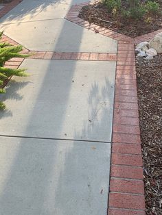 a cat is sitting on the sidewalk next to a tree and some bushes in front of it